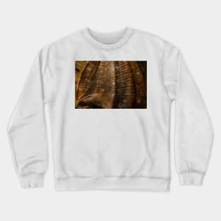 The Bakskuld Crewneck Sweatshirt